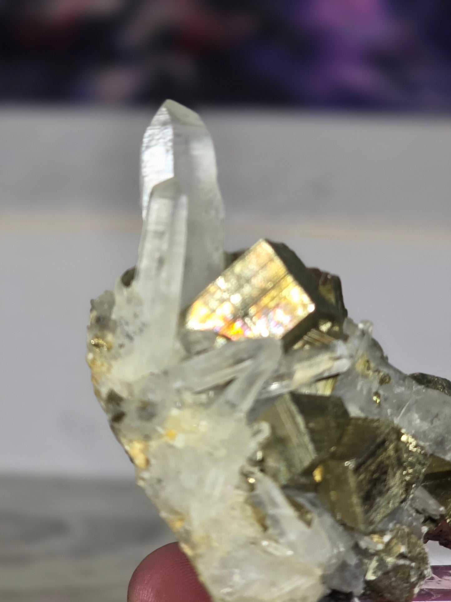 Pyrite in quartz specimen rare