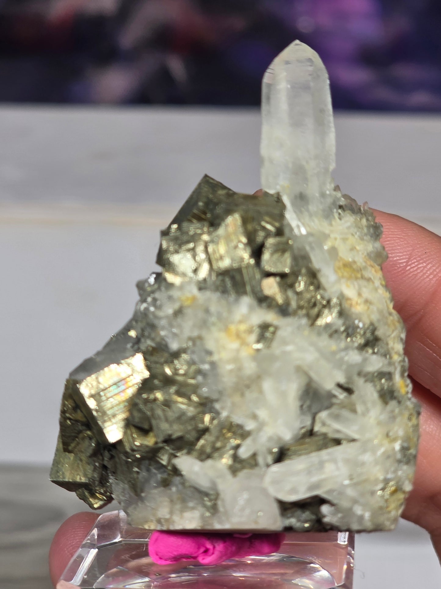 Pyrite in quartz specimen rare