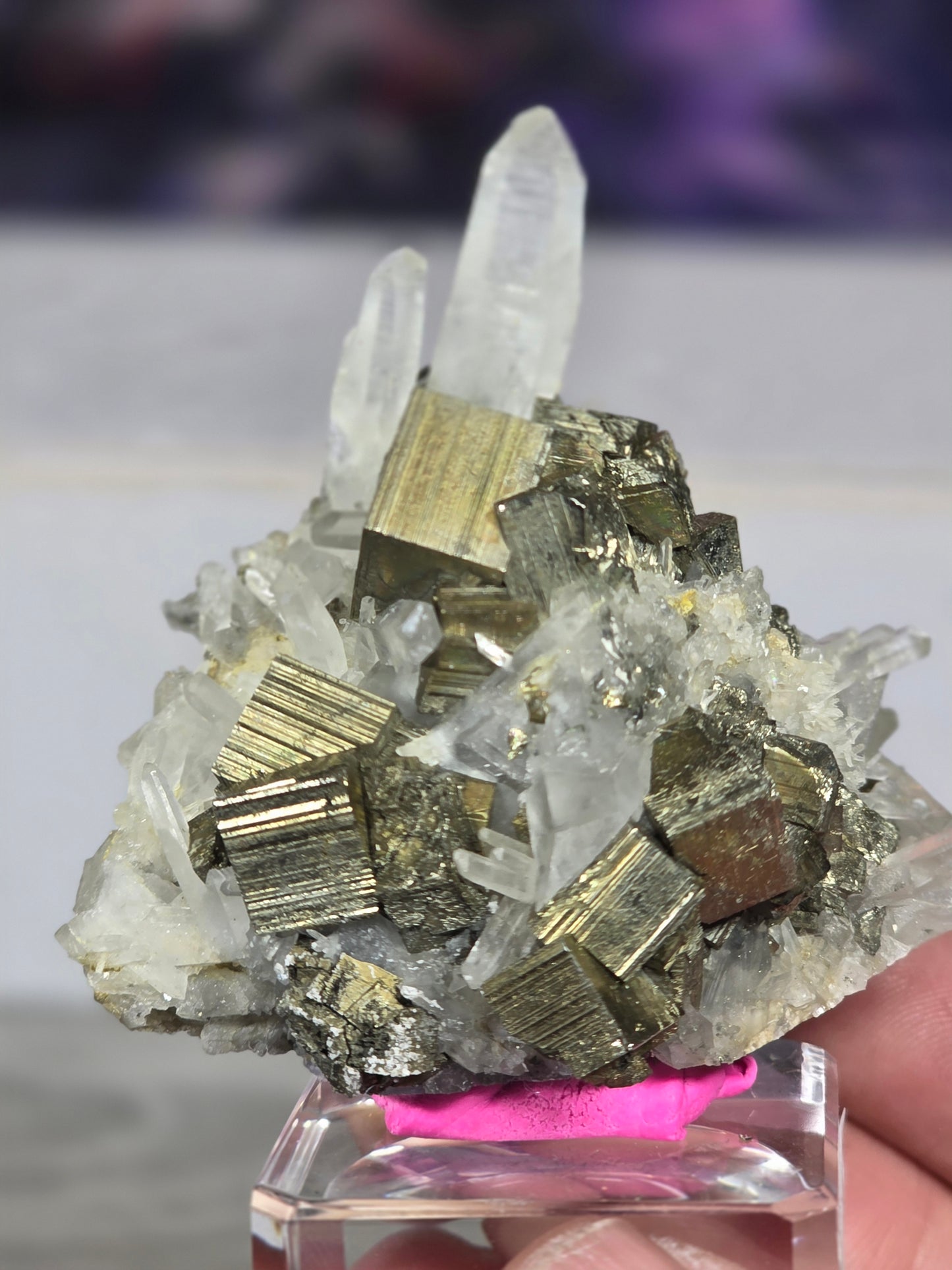 Pyrite in quartz specimen rare