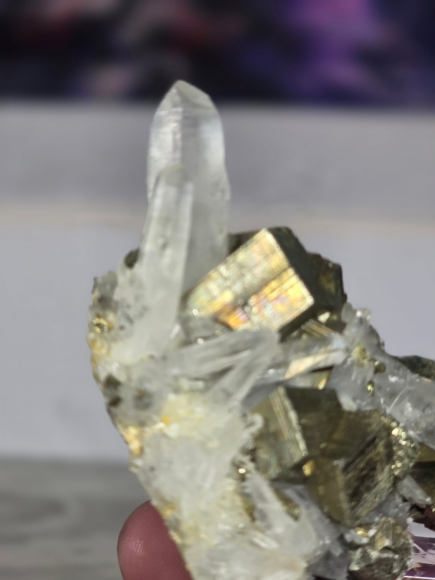Pyrite in quartz specimen rare