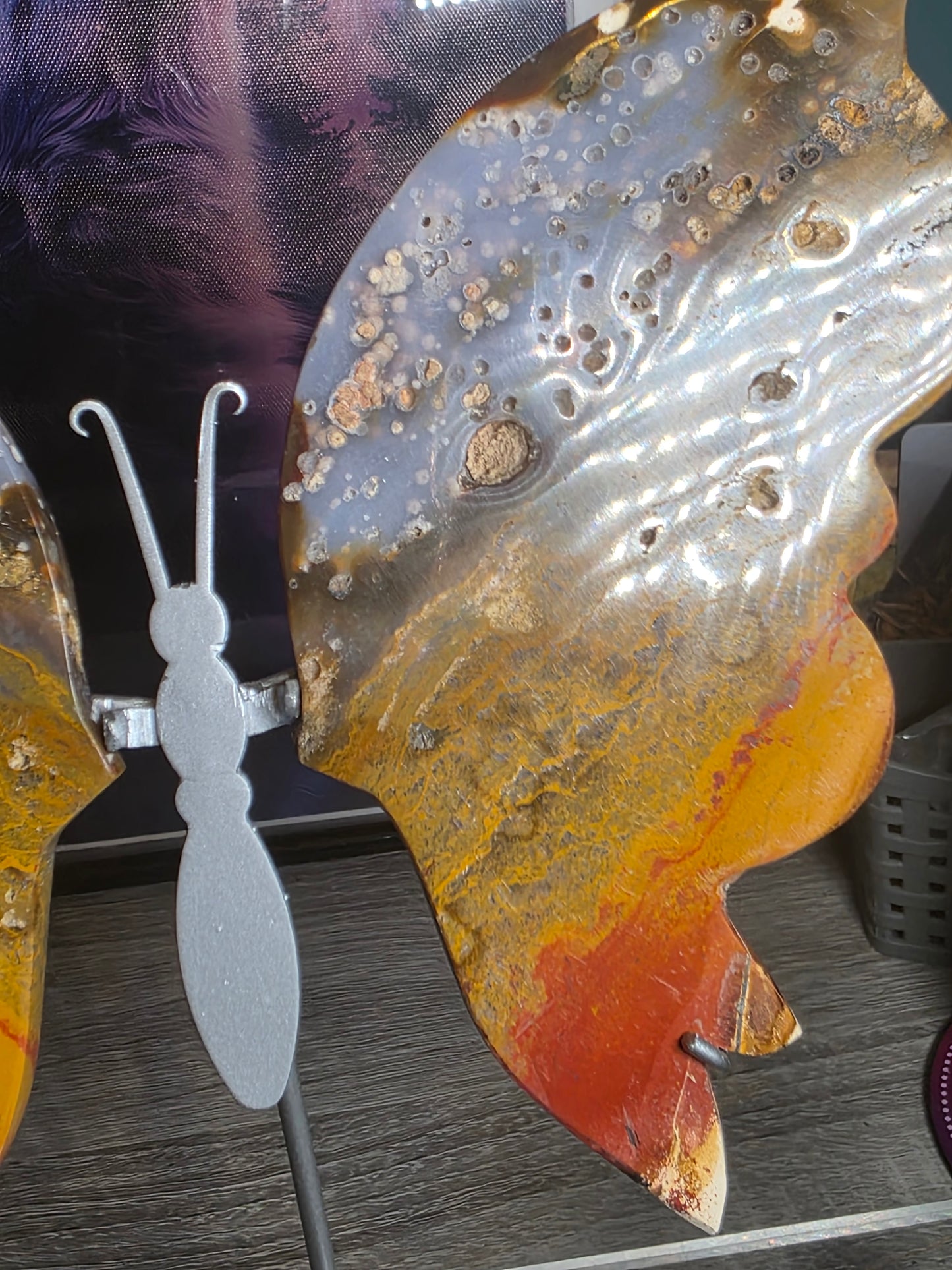 Indonesia ocean jasper sunset butterfly wings