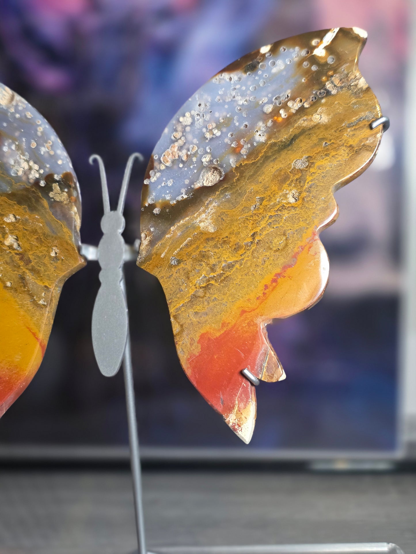 Indonesia ocean jasper sunset butterfly wings