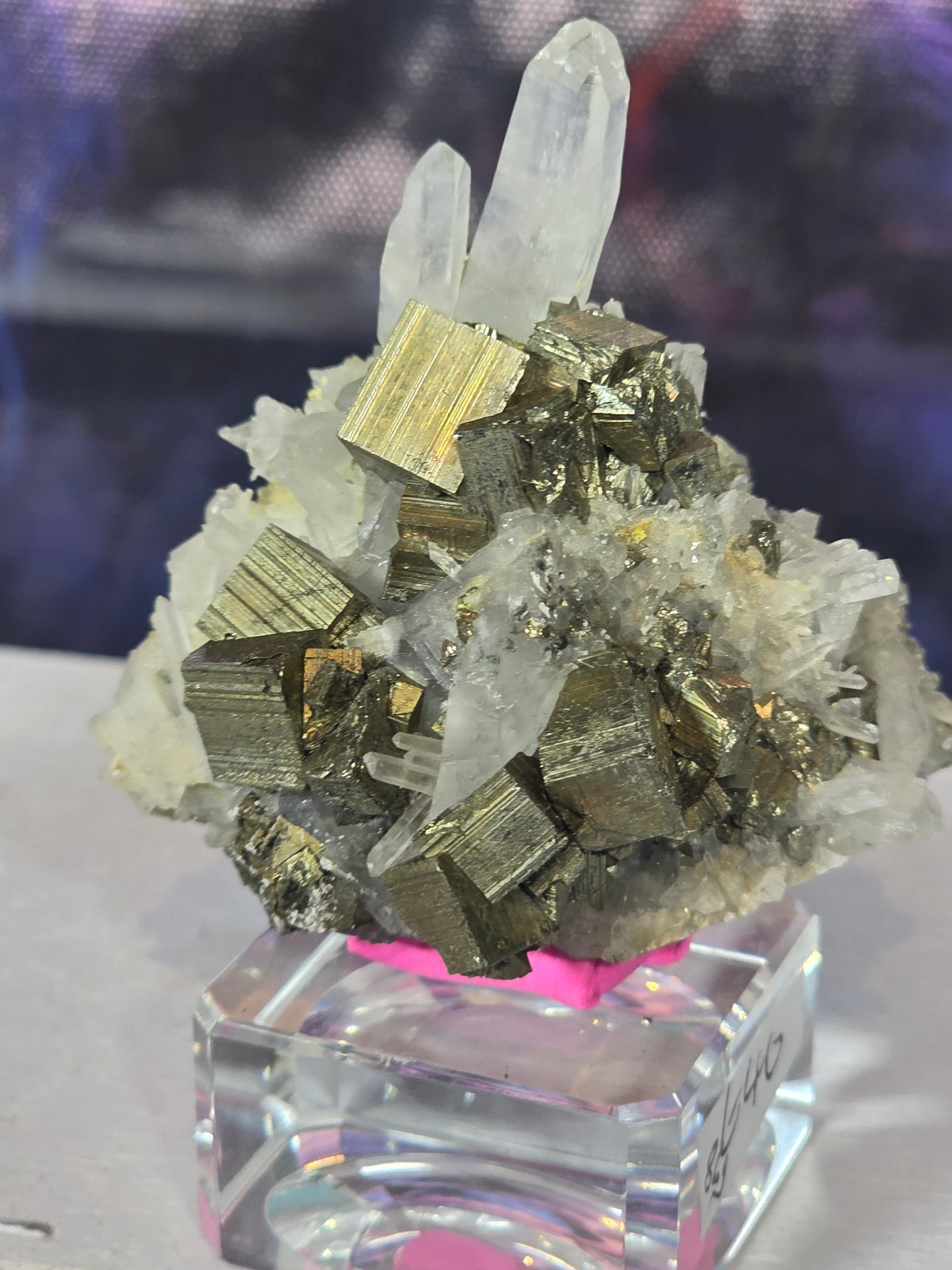 Pyrite in quartz specimen rare