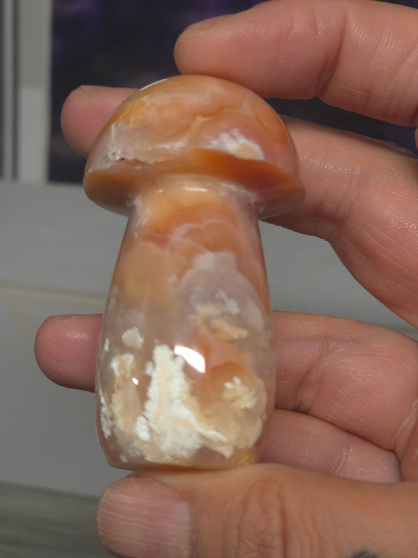 Pink carnelian mushroom Indonesia 2