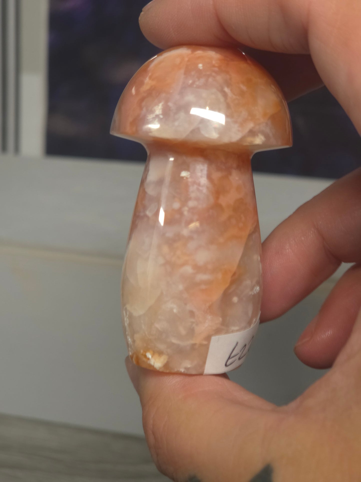 Pink carnelian mushroom Indonesia 2
