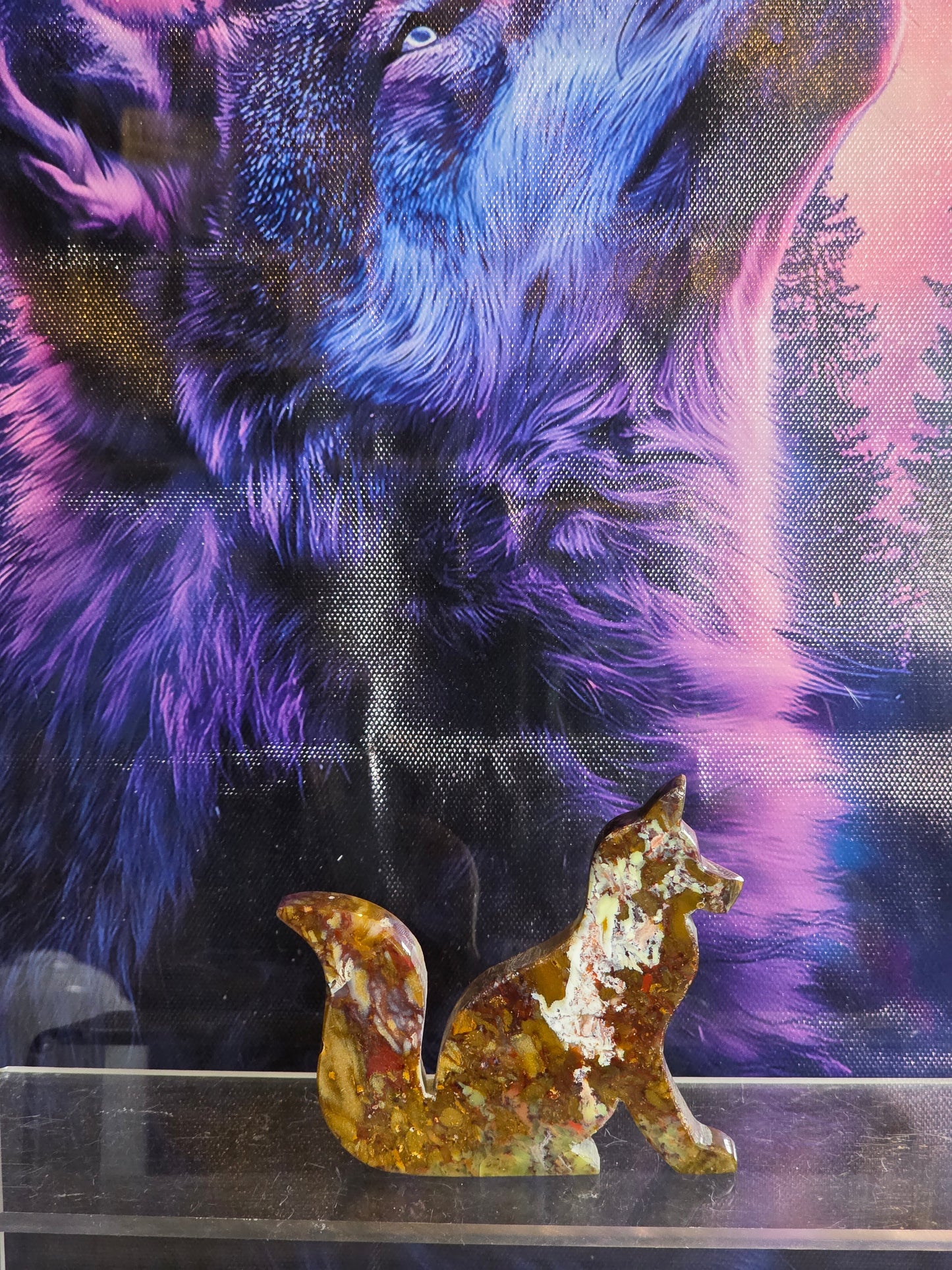 Jasper fox Indonesia