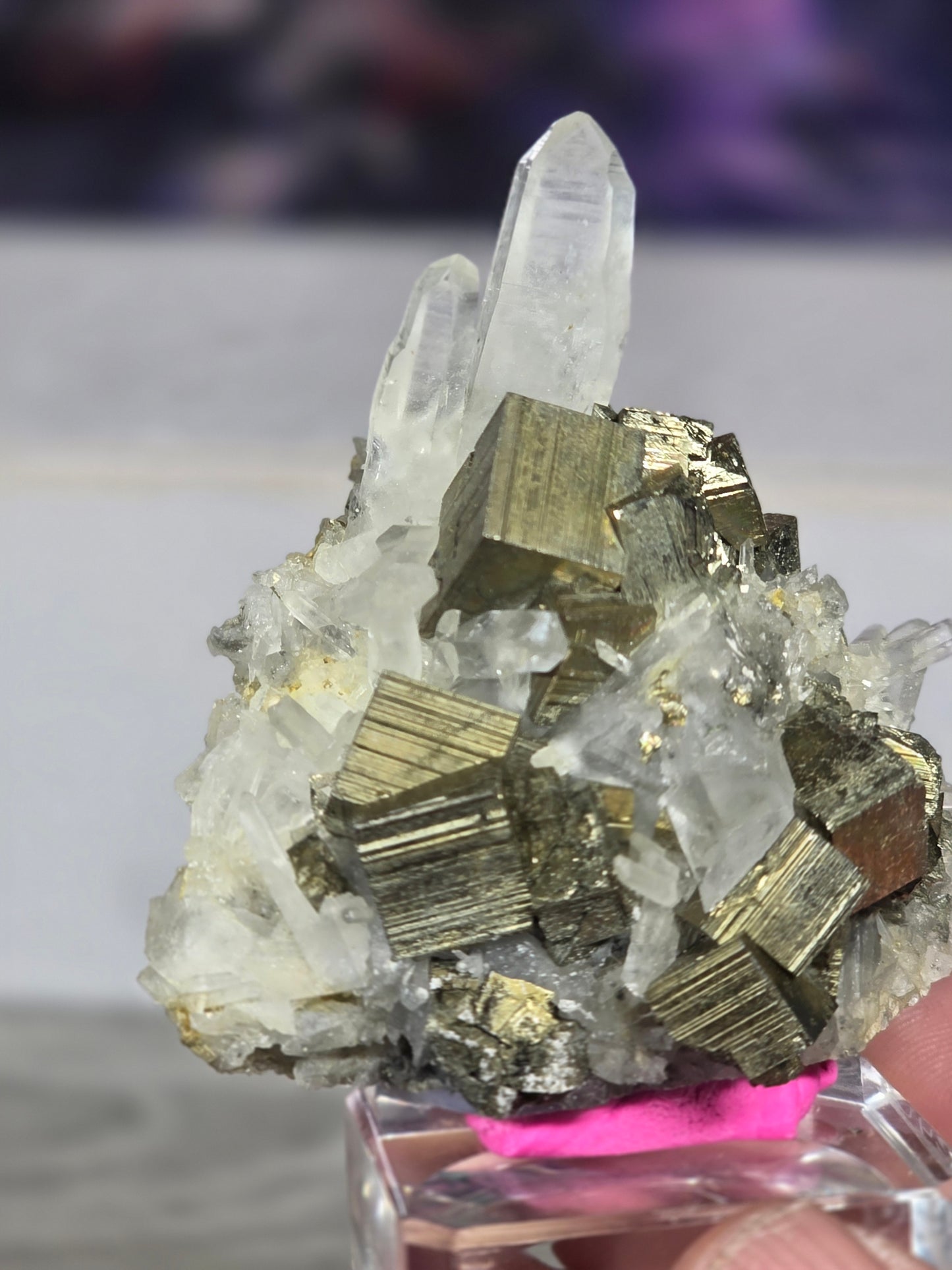 Pyrite in quartz specimen rare