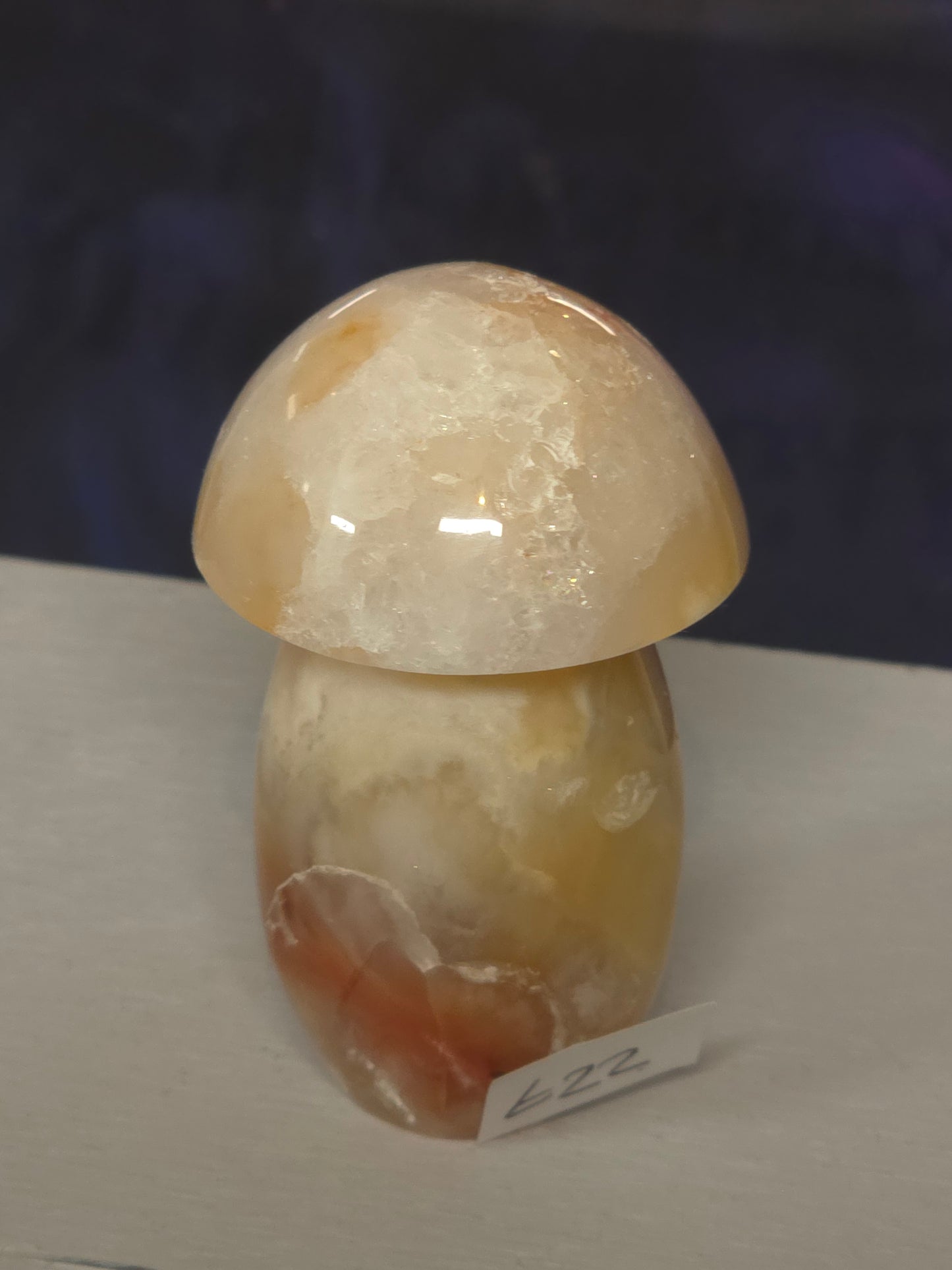 Pink carnelian mushroom Indonesia