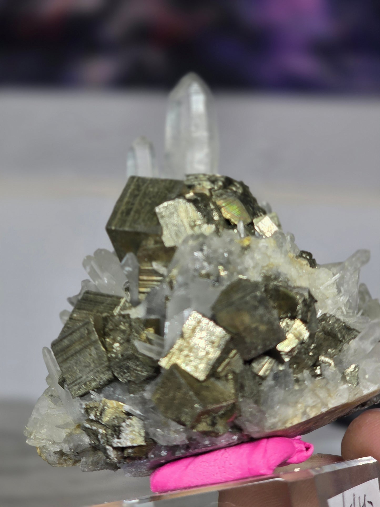 Pyrite in quartz specimen rare