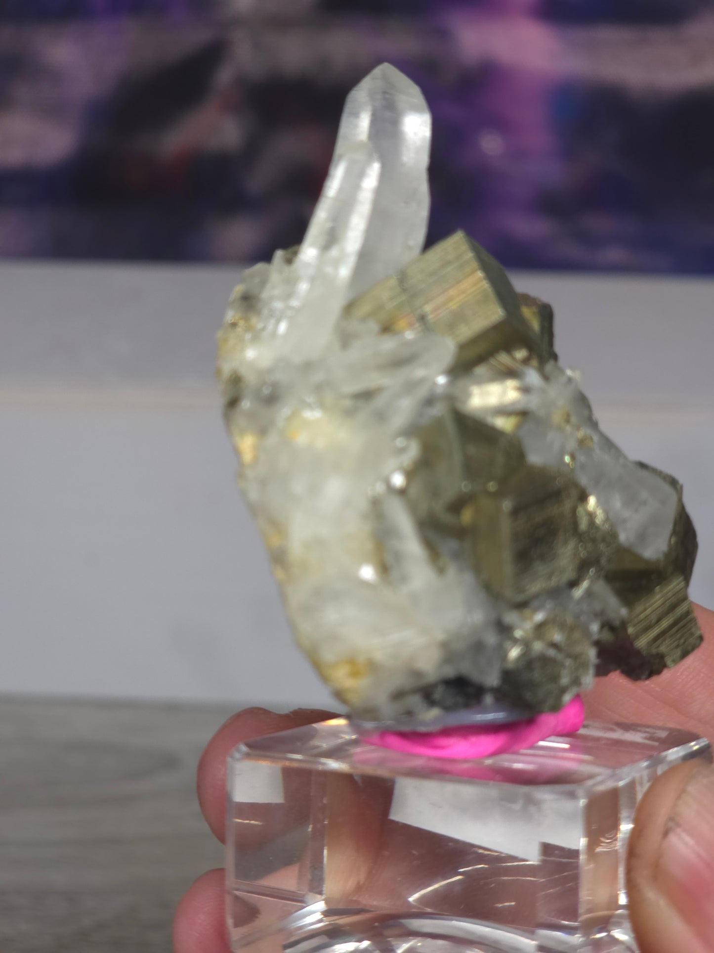 Pyrite in quartz specimen rare