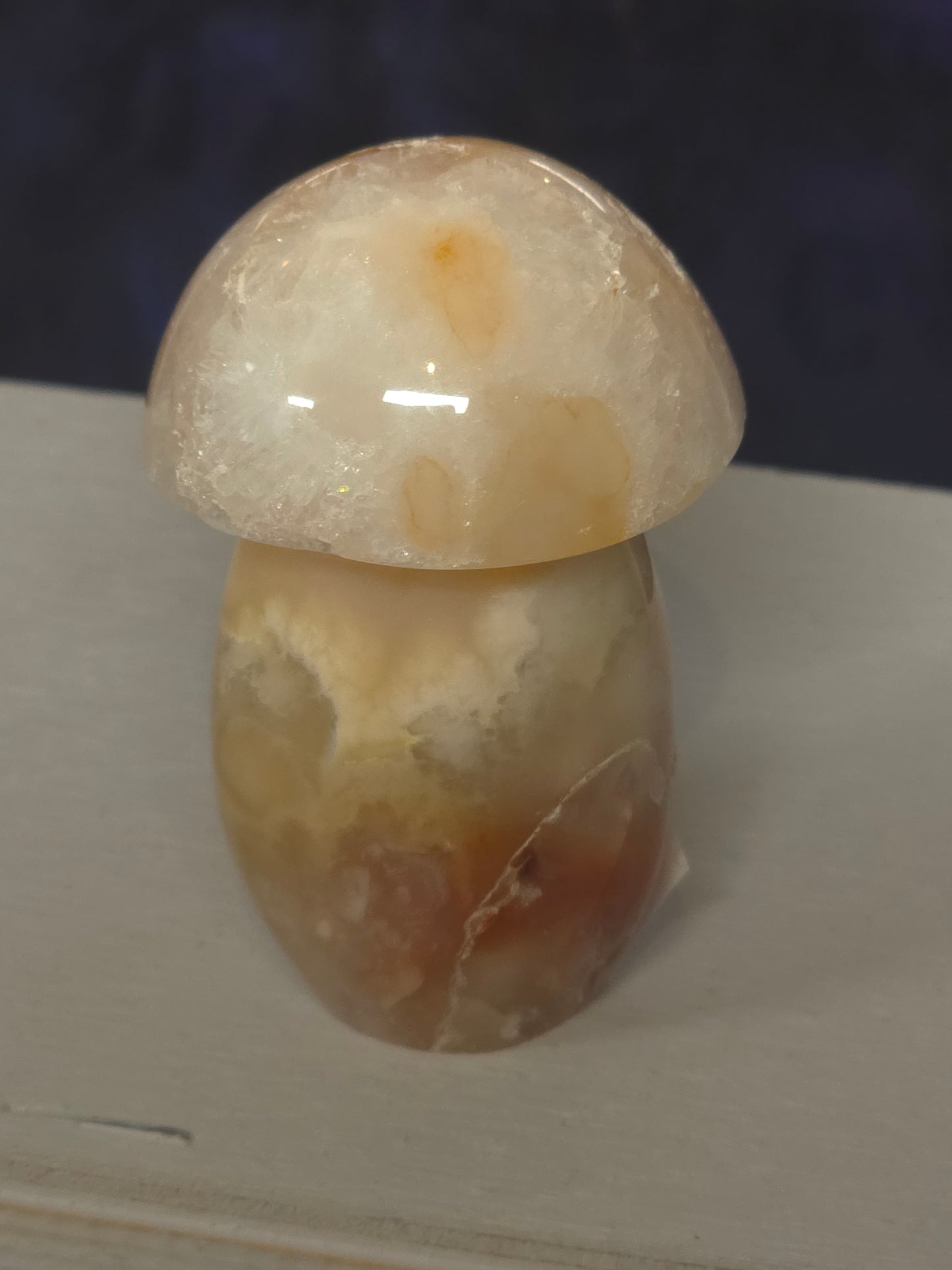 Pink carnelian mushroom Indonesia