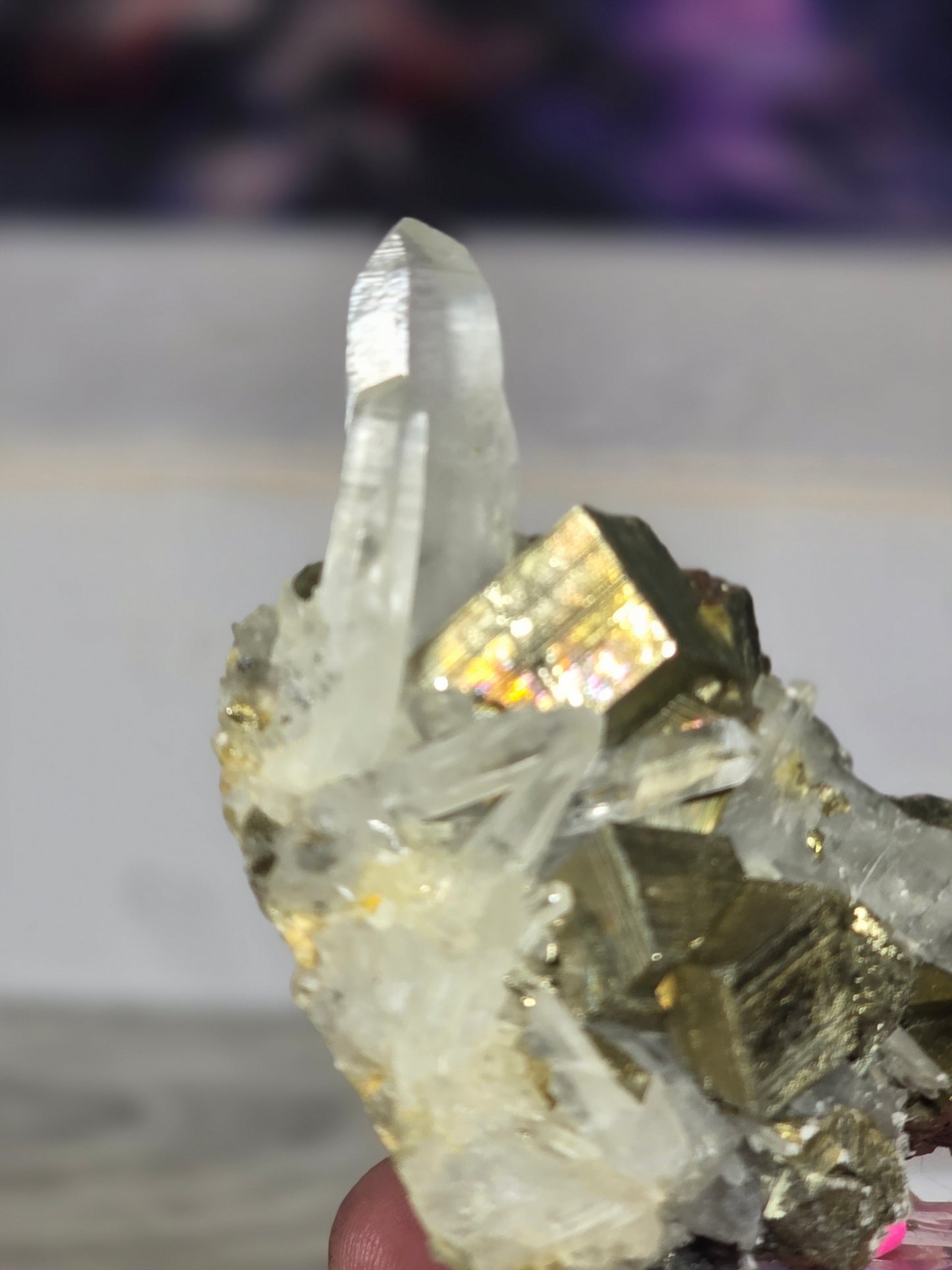 Pyrite in quartz specimen rare