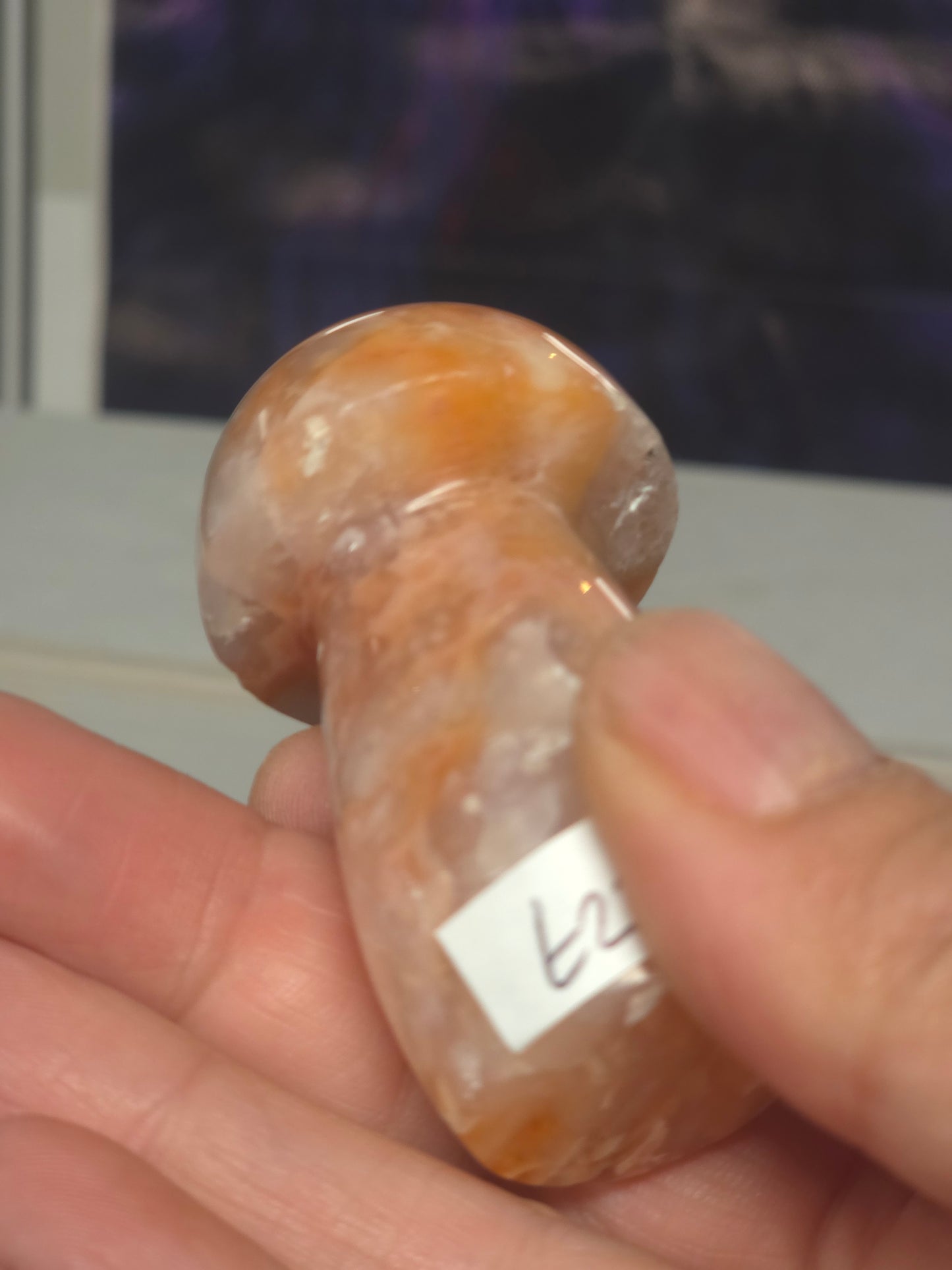 Pink carnelian mushroom Indonesia 2