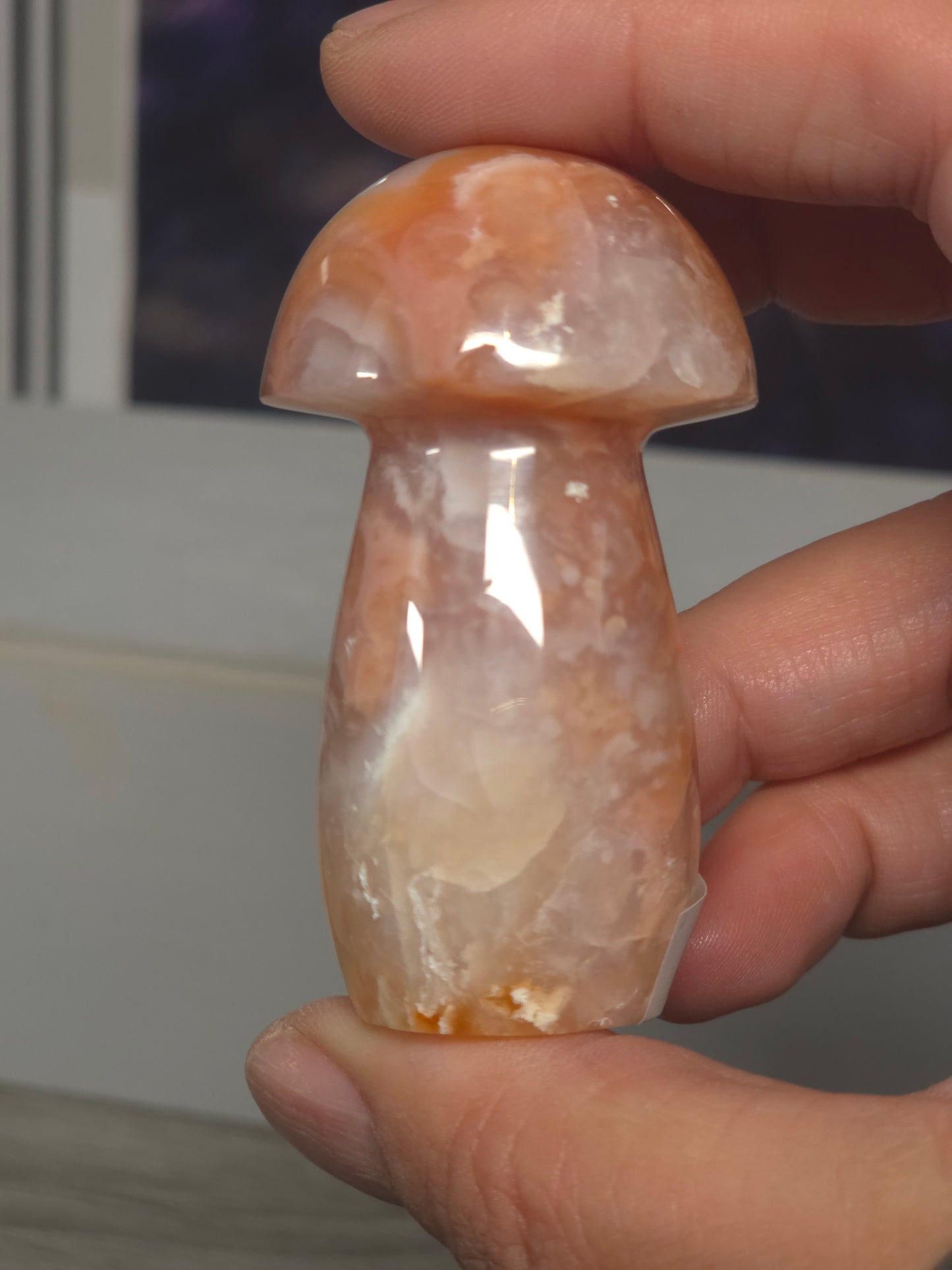 Pink carnelian mushroom Indonesia 2