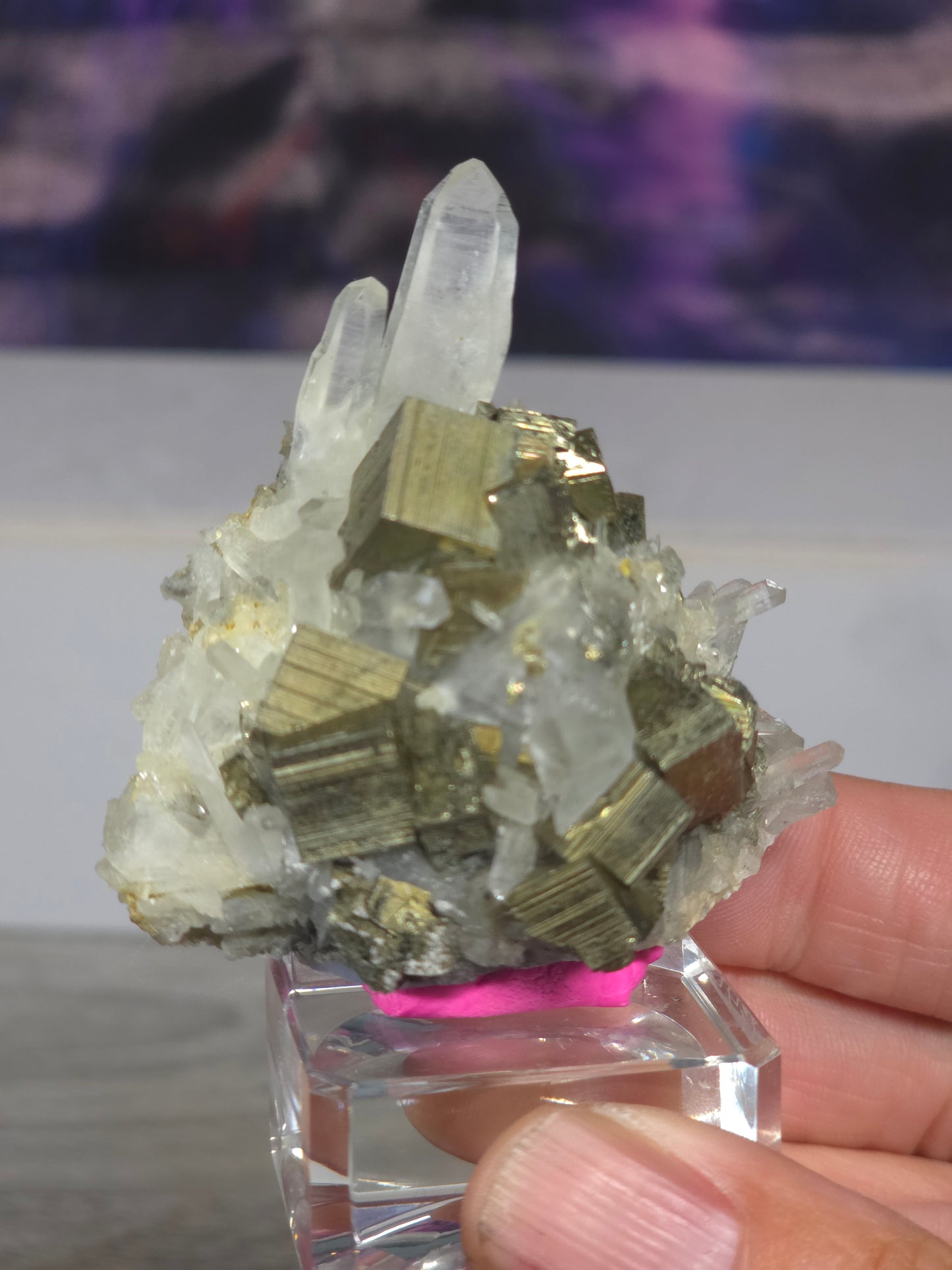 Pyrite in quartz specimen rare