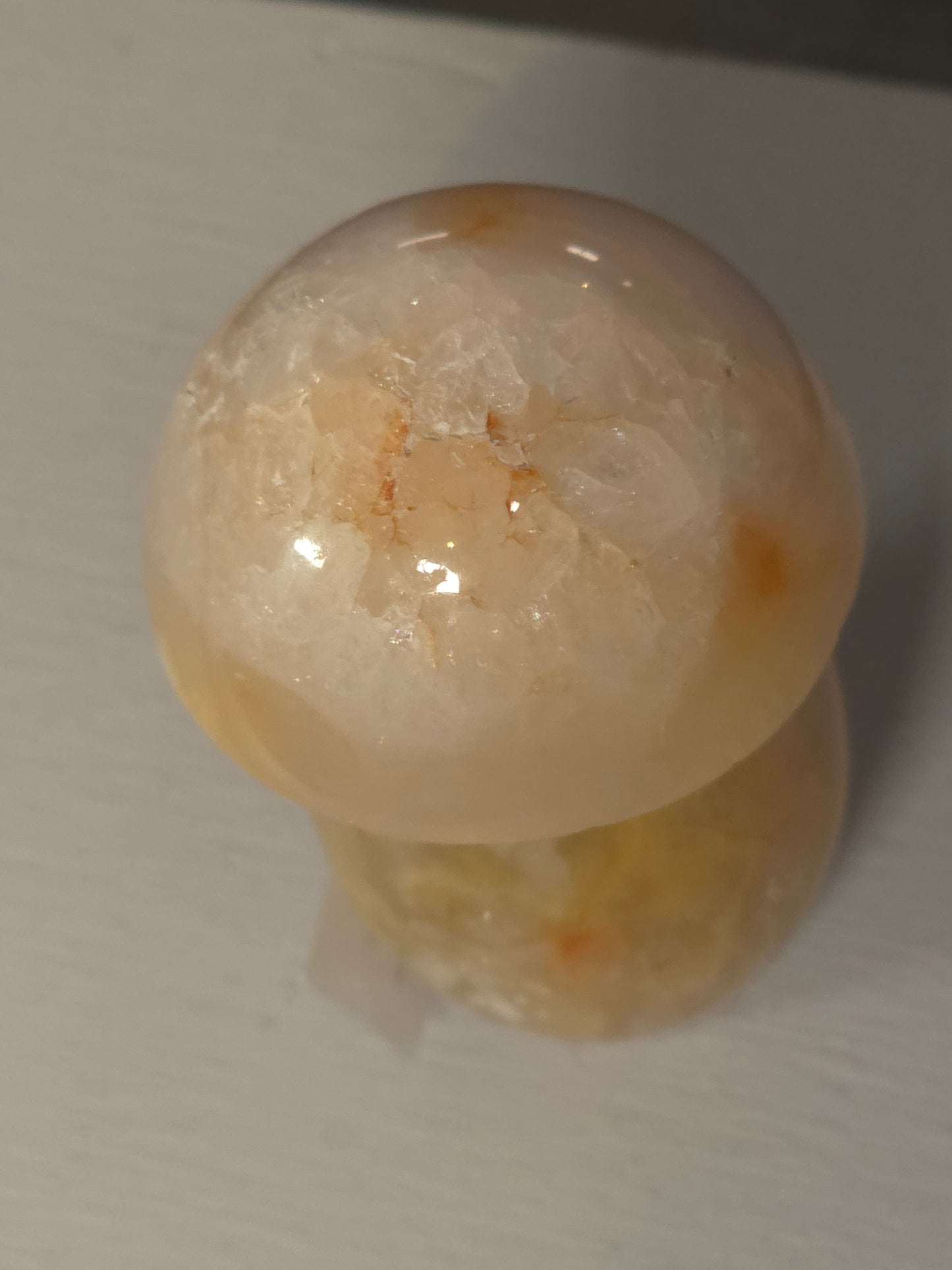 Pink carnelian mushroom Indonesia