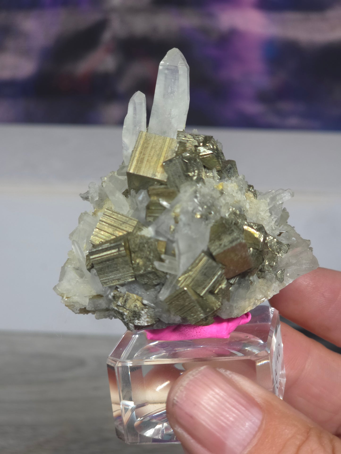 Pyrite in quartz specimen rare