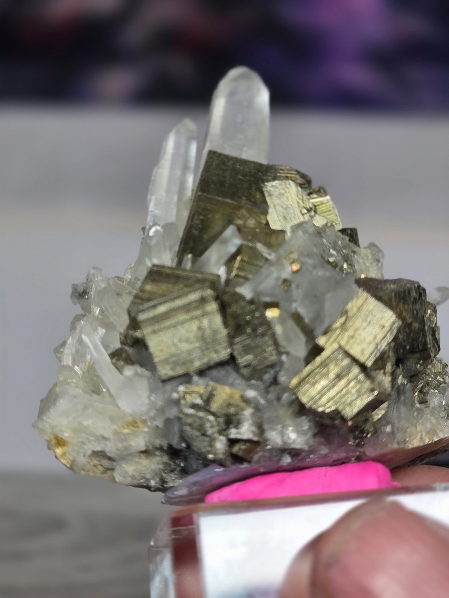 Pyrite in quartz specimen rare