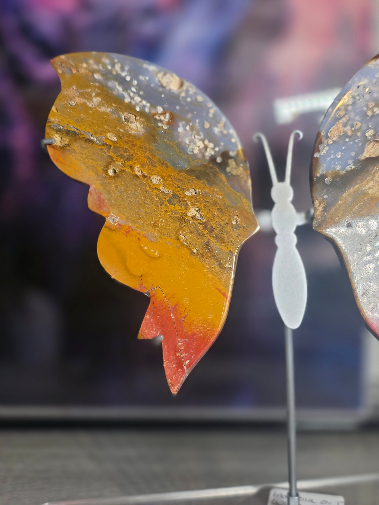 Indonesia ocean jasper sunset butterfly wings