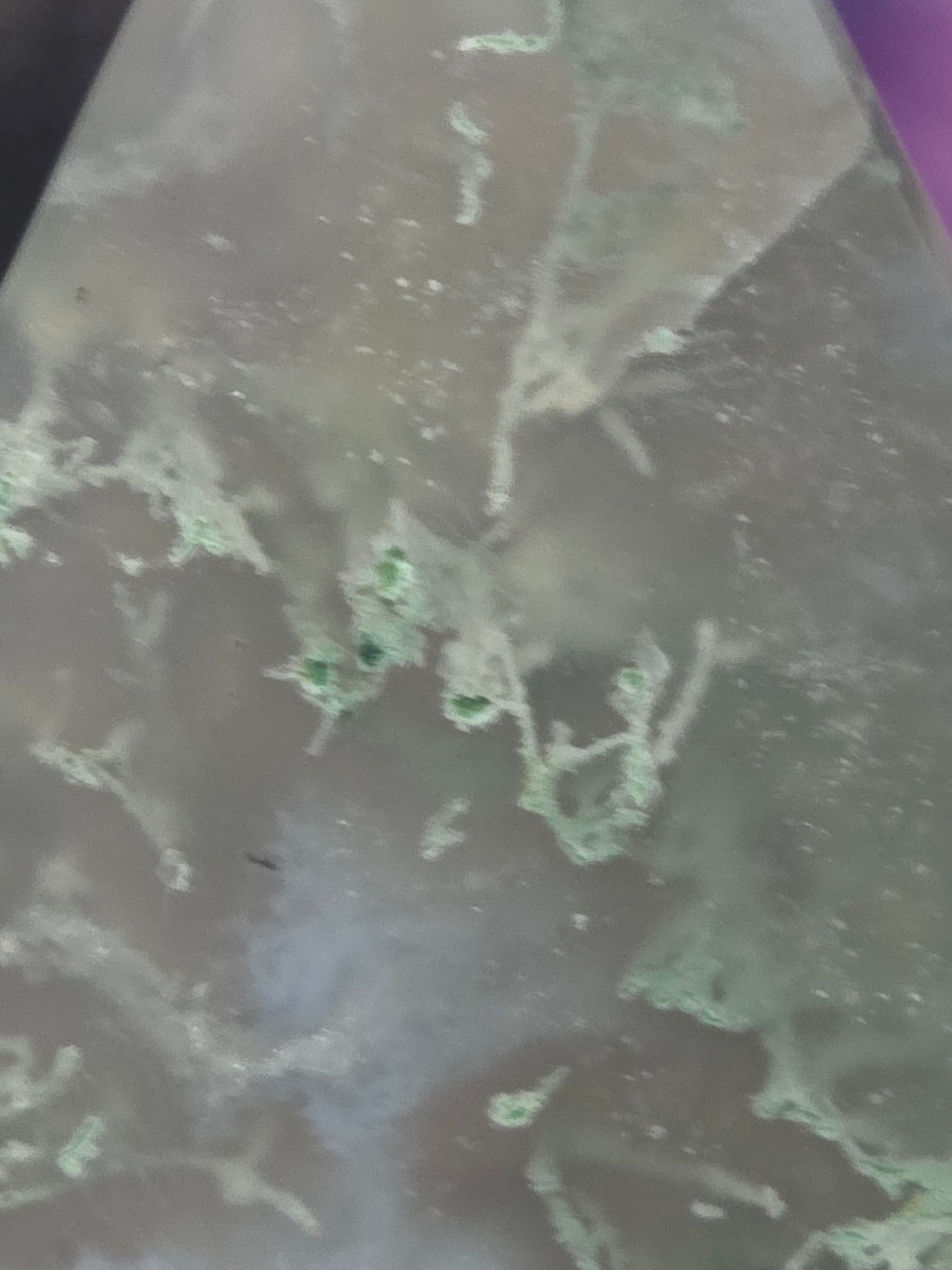 Moss agate teardrop