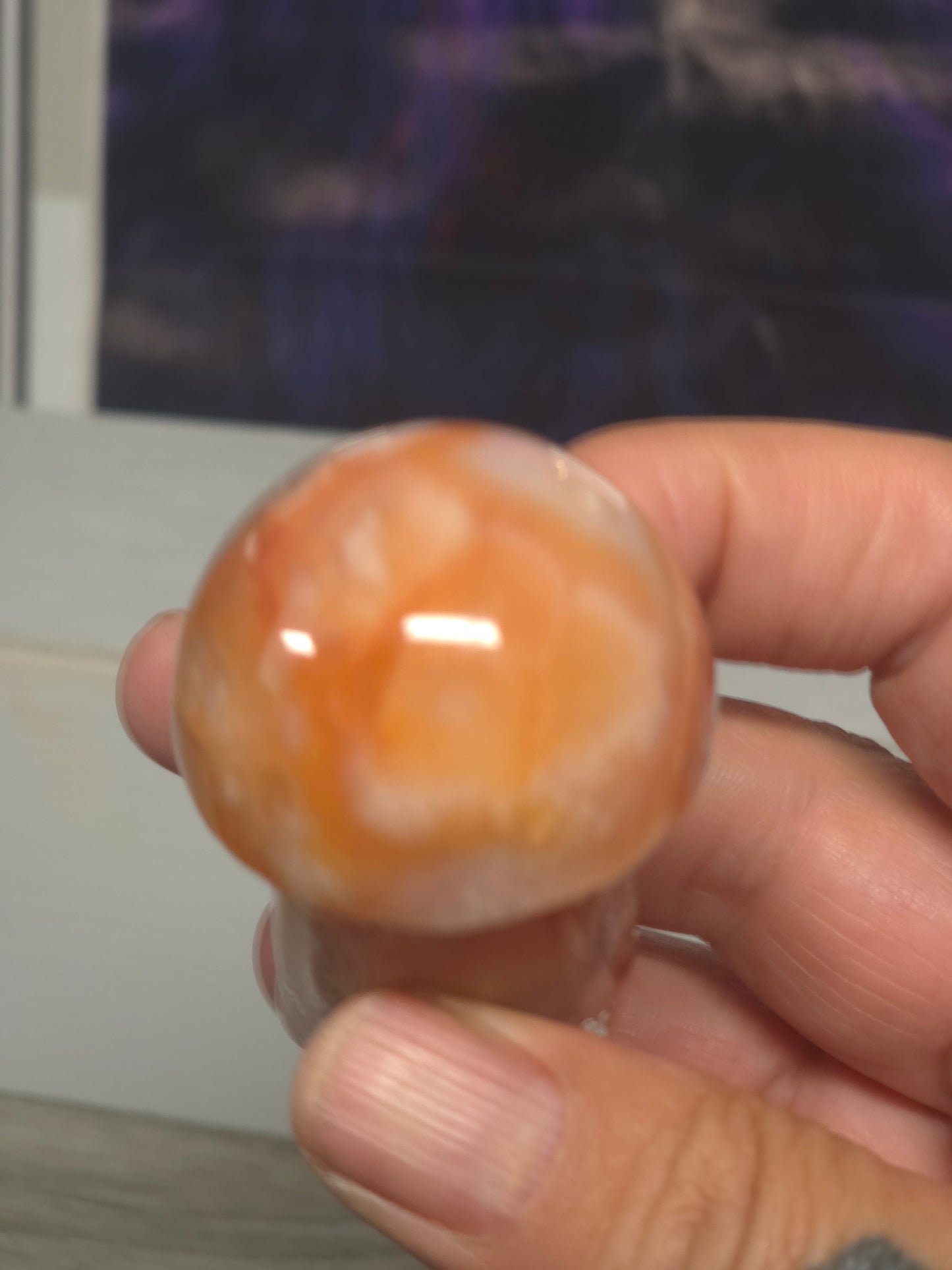Pink carnelian mushroom Indonesia 2